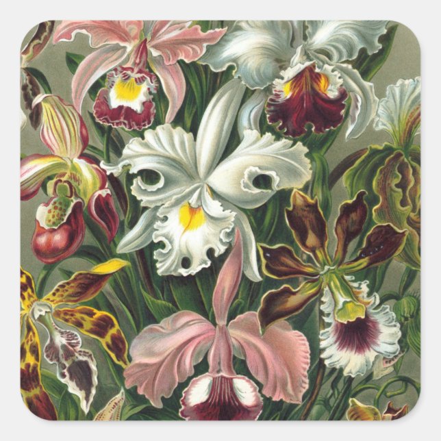 Adesivo Quadrado Vintage Orchid Stickers (Frente)