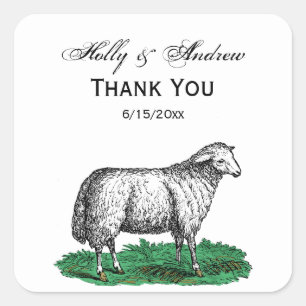 Adesivo Quadrado Vintage Ovino Animais De Exploração Que Desenham