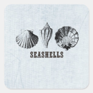 Adesivo Quadrado Vintage Seashells