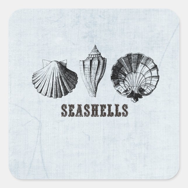 Adesivo Quadrado Vintage Seashells (Frente)
