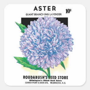 Adesivo Quadrado Vintage Seed Packet Art, Flores De Aster Roxo