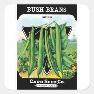 Adesivo Quadrado Vintage Seed Packet Label Art, Bush Bean Vegggies