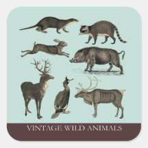 Vintage Selvagem Animal Sticker