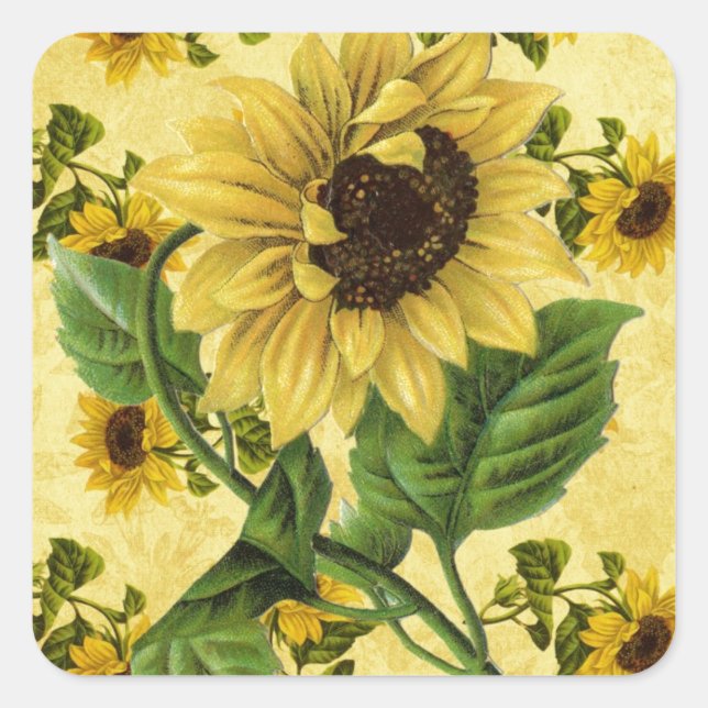 Adesivo Quadrado Vintage Sunflower (Frente)