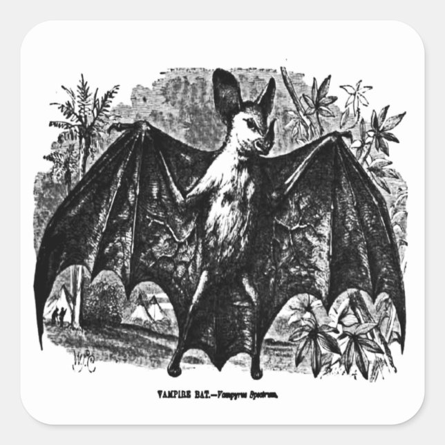 Adesivo Quadrado Vintage Vampire Bat Sticker (Frente)