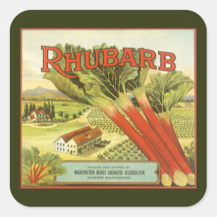 Adesivo Quadrado Vintage Vegetal Pode Rotular Arte, Fazenda Rhubarb