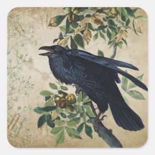 Adesivo Quadrado Vintage Victorian Raven Decoupage - Reino Gótico