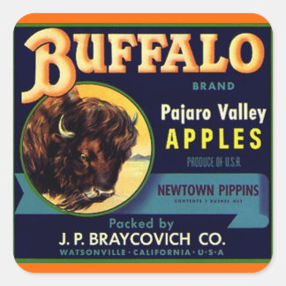 Adesivo Quadrado Vintage Vintage Maçãs de Marca de Buffalo Produzem