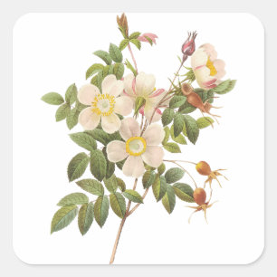 Adesivo Quadrado Vintage White Floral Sticker