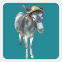 Violem o burro no chapéu de palha com flores