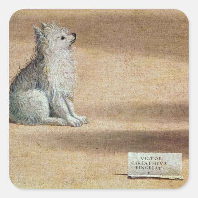 Adesivo Quadrado Visão da Rua. Augustine (Frente)