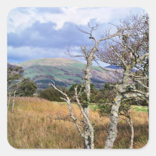 ADESIVO QUADRADO VISÕES DAS PAREDES