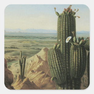Adesivo Quadrado Vista da montanha de Maricopa perto de Rio Gila