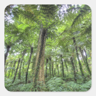Adesivo Quadrado Vista da vegetação nos Jardins Botânicos de Bali,