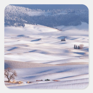 Adesivo Quadrado Vista de Steptoe Butte de colinas onduladas cobert