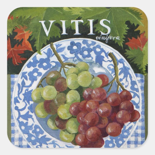 Adesivo Quadrado Vitus (Frente)