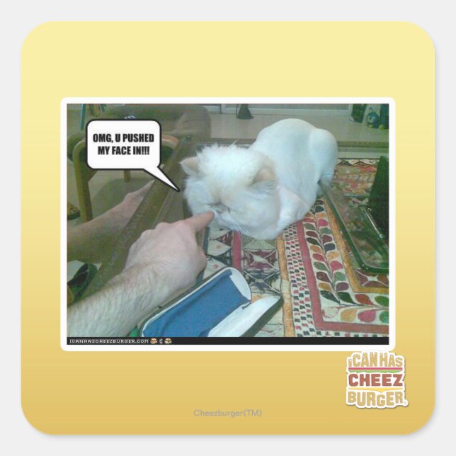 Adesivo Quadrado Você empurrou meu rosto para dentro! (Frente)