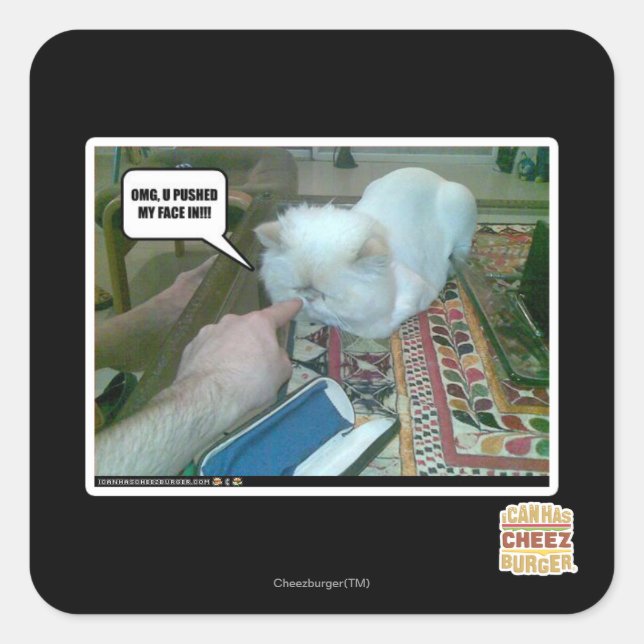 Adesivo Quadrado Você empurrou meu rosto para dentro! (Frente)