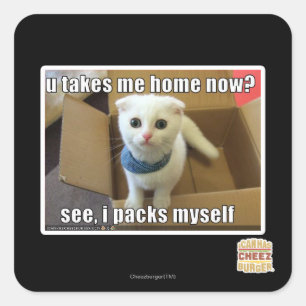 Adesivo Quadrado Você me leva para casa agora?