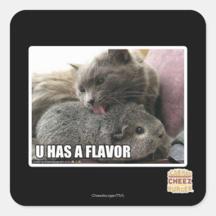 ADESIVO QUADRADO VOCÊ TEM UM AROMA