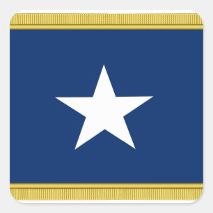 Adesivo Quadrado Voluntários Bonnie de Texas Cofederate da bandeir