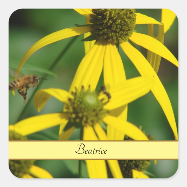 Adesivo Quadrado Voo das abelhas (Frente)