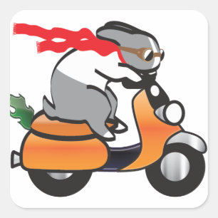 Adesivo Quadrado vroom.