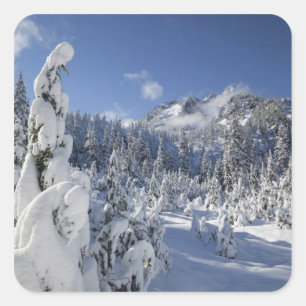 Adesivo Quadrado WA, Alpine Lakes Wilderness, bacia do Snow Lake