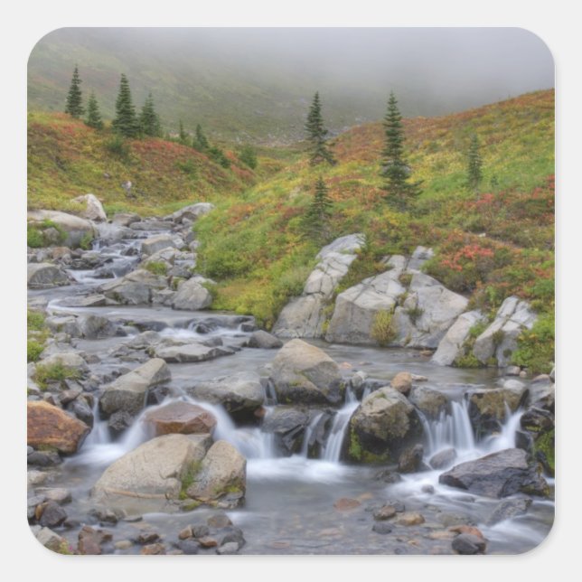 Adesivo Quadrado WA, Monte Rainier National Park, Edith Creek (Frente)