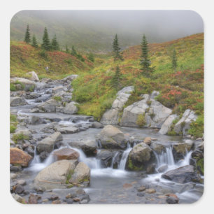Adesivo Quadrado WA, Mt. Rainier National Park, Edith Creek