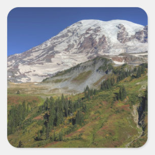 Adesivo Quadrado WA, Parque Nacional Mt. Rainier, vista do