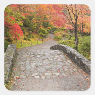 Adesivo Quadrado WA, Seattle, Arboreto do Parque de Washington,