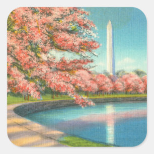 Adesivo Quadrado Washington