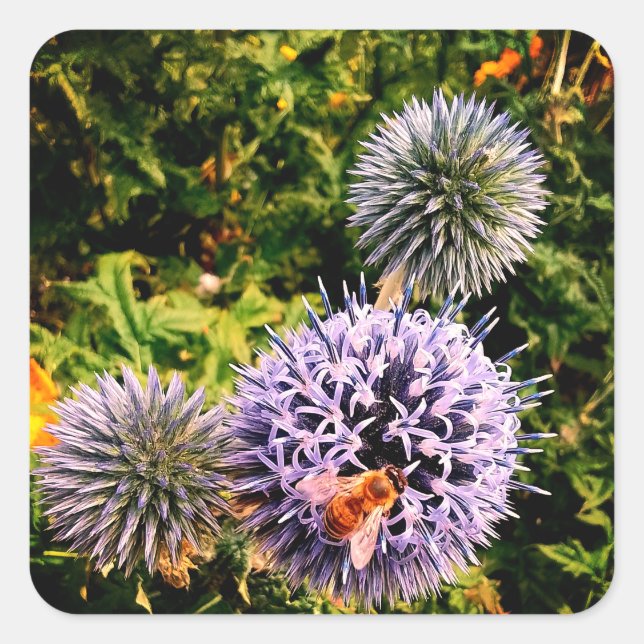 Adesivo Quadrado Wasp , em flores azuis (Frente)