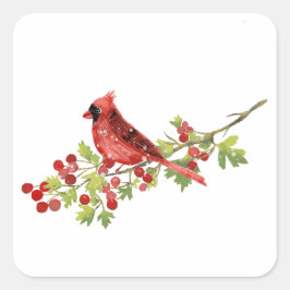 Adesivo Quadrado Watercolor Cardinal Bird on Berry Branch 