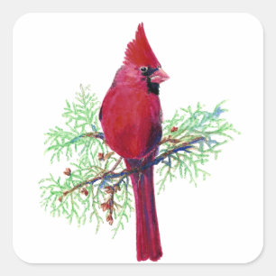 Adesivo Quadrado Watercolor Christmas Red Bird Cardinal