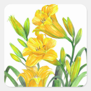 Adesivo Quadrado Watercolor Yellow Day Lily Floral Art