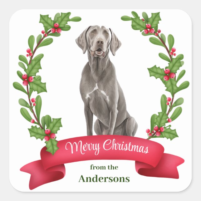 Adesivo Quadrado Weimaraner Holly Banner Natal (Frente)