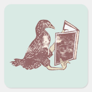 Adesivo Quadrado Weka Bird Lendo um livro
