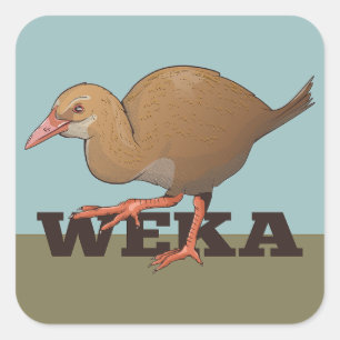 Adesivo Quadrado Weka New Zelândia Bird