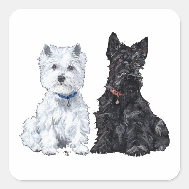 Adesivo Quadrado West Highland White e Scottish Terriers (Frente)