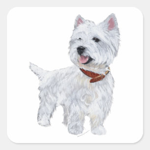 Adesivo Quadrado West Highland White Terrier
