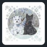 Adesivo Quadrado Westie e Scottie na Paisagem de Neve<br><div class="desc">Criado da minha obra de arte original,  West Highland White Terrier e Scottish Terrier desfrutam de uma paisagem nevada. Design está disponível em roupas,  novidades e presentes!</div>