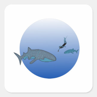 Adesivo Quadrado Whaleshark Sticker