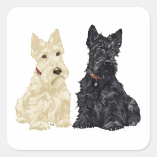 Adesivo Quadrado Wheaten e Black Scottish Terriers