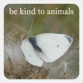 Adesivo Quadrado White Butterfly "Be Kind to Animals" Sticker Sheet