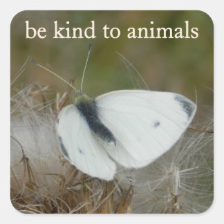 Adesivo Quadrado White Butterfly "Be Kind to Animals" Sticker Sheet