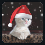 Adesivo Quadrado White Cat in Santa Claus Hat<br><div class="desc">cat christmas kitten kitty, 
fashion pets cool happy, 
small sweet beauty little , 
snow red humor baby, 
merry costume fluffy furry, 
pet beautiful feline animal, 
adorable white hat cap , 
funny xmas santa winter , 
claus cute holiday white, 
cat christmas kitten kitty, </div>