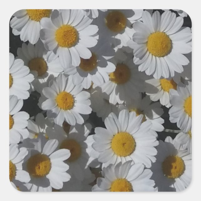 Adesivo Quadrado White Daisies (Frente)