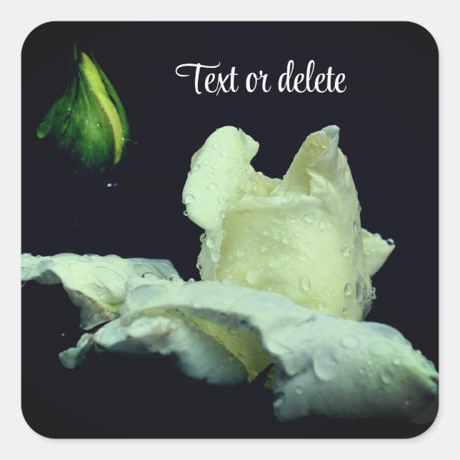 Adesivo Quadrado White Rosebud After Rain Personalized (Frente)